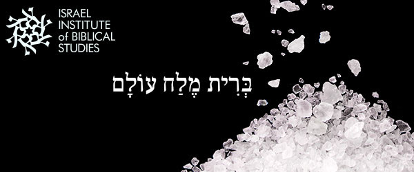 O que é o sal da terra dito por Jesus em Mateus 5:13?